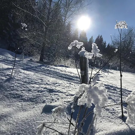 Allgaeuzeit Isny Isny im Allgäu