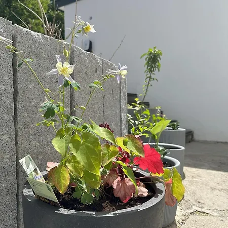 Allgaeuzeit Isny Apartmán